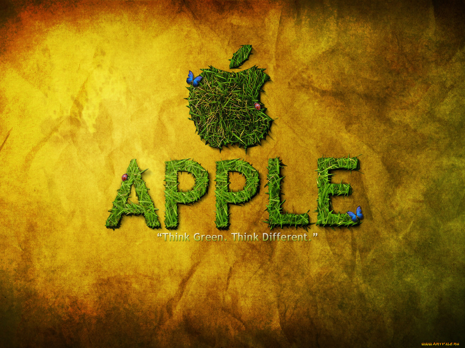 , apple